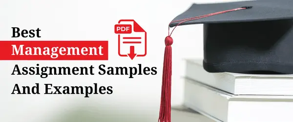 Best Management Assignment Samples And Examples