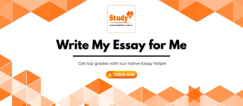 Write My Essay for me